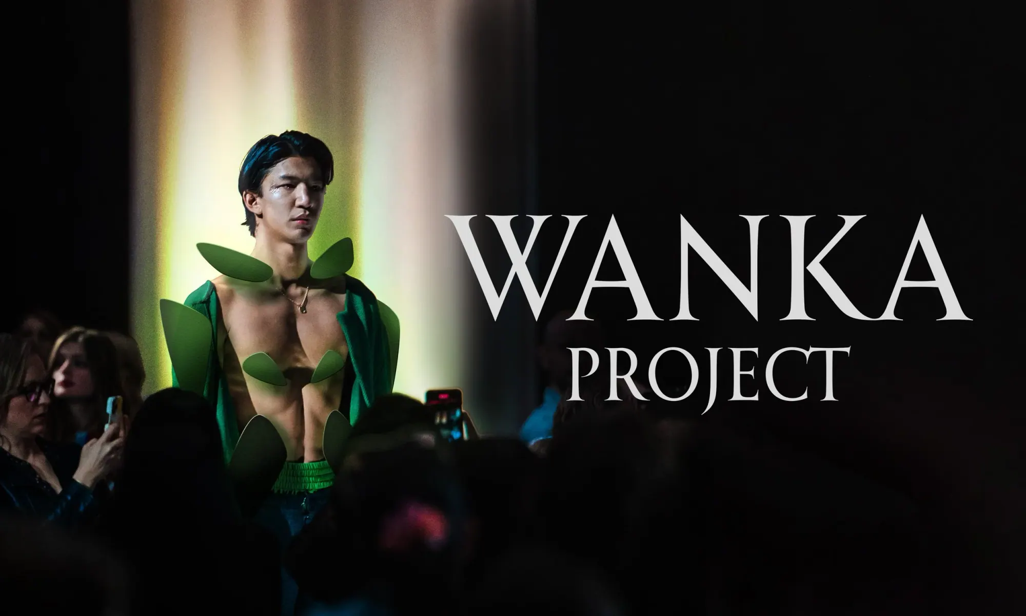 Poster wanka project